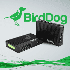 <b>BirdDog 4K Quad</b>