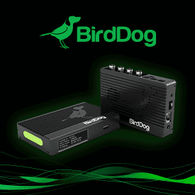 <b>BirdDog 4K Quad Converter</b>