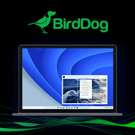 <b>BirdDog VideoWall: Complex Video Walls Made Easy</b>